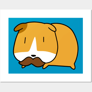 Mustache Guinea Pig Posters and Art